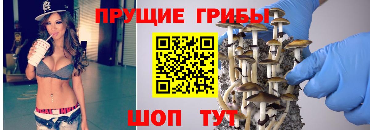 Галлюциногенные грибы Cubensis  где купить наркотик  Дзержинский  Вход с VPN  Псилоцибиновые грибы прущие грибы 